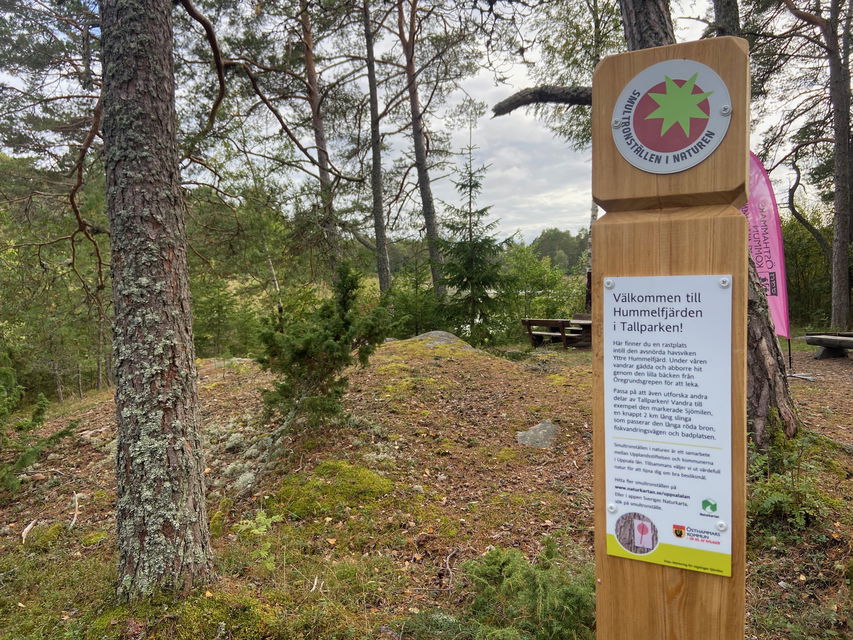 Närbild på en stolpe med en smal informationsskylt. På toppen av stolpen sitter en bricka med en bild av ett tecknat smultron.