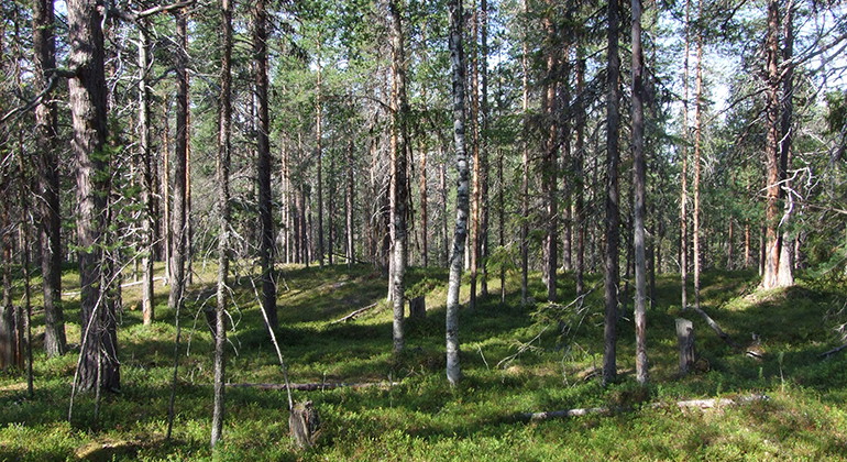 Tolikheden-Karkberget.