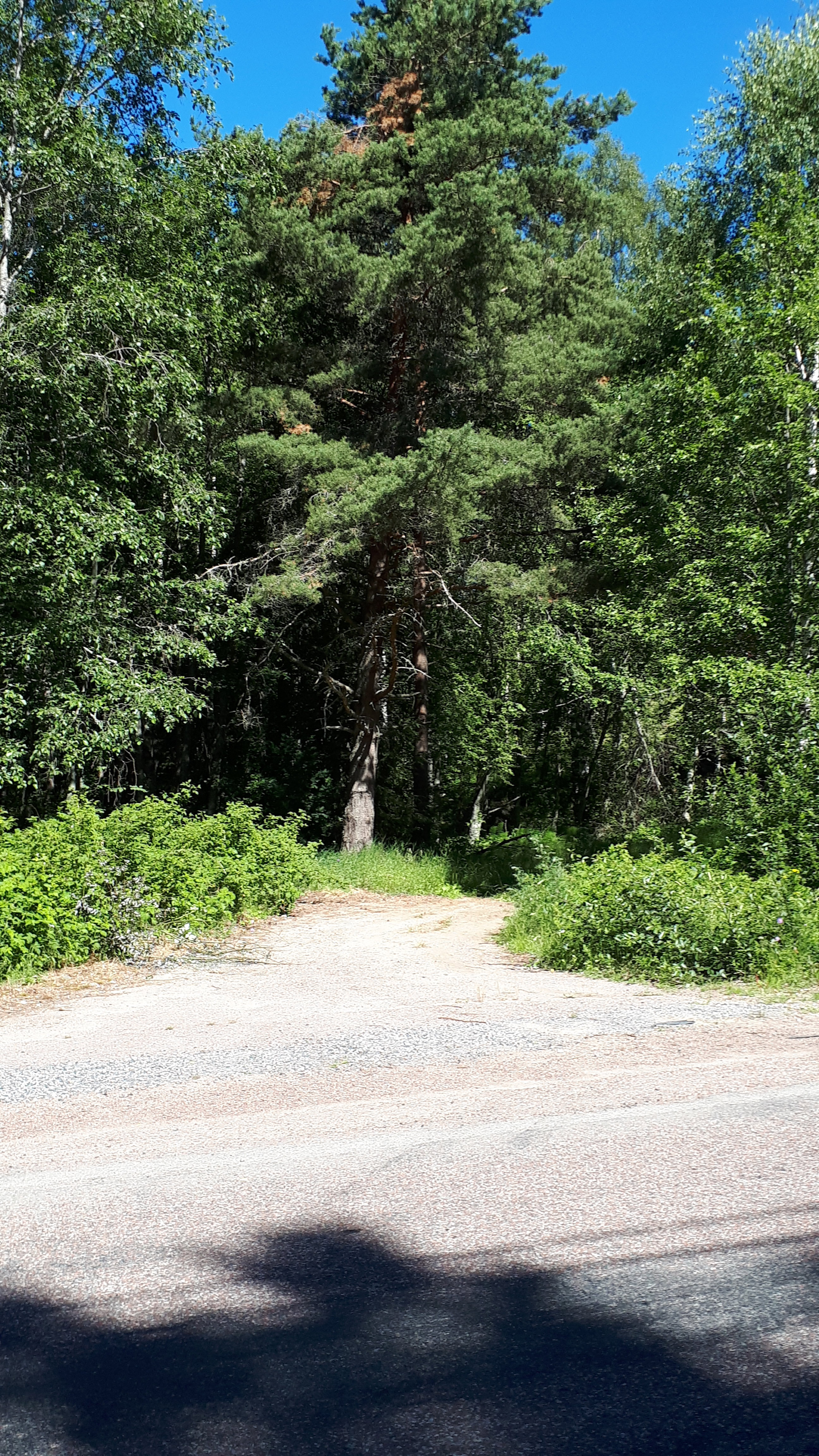 Stakhedsvägen norrut