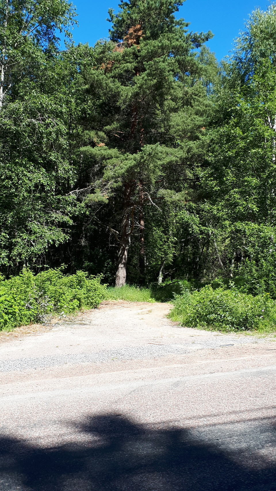 Stakhedsvägen norrut