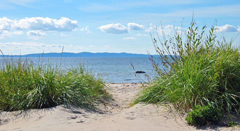 Ängelbäcksstrand.