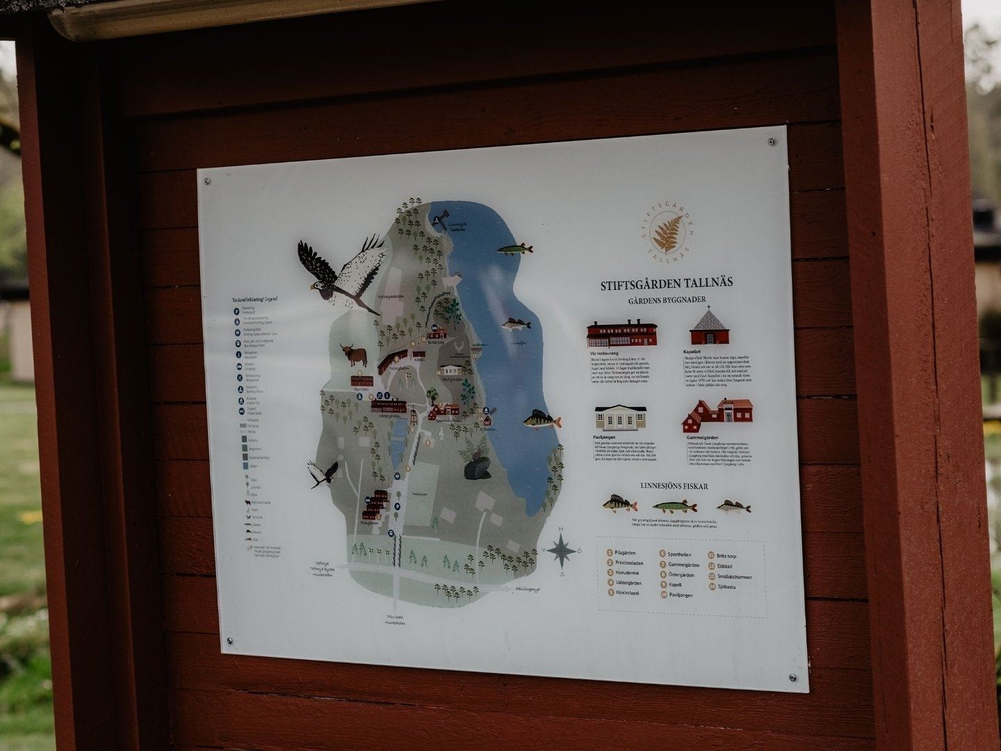   STF Stiftsgården Tallnäs