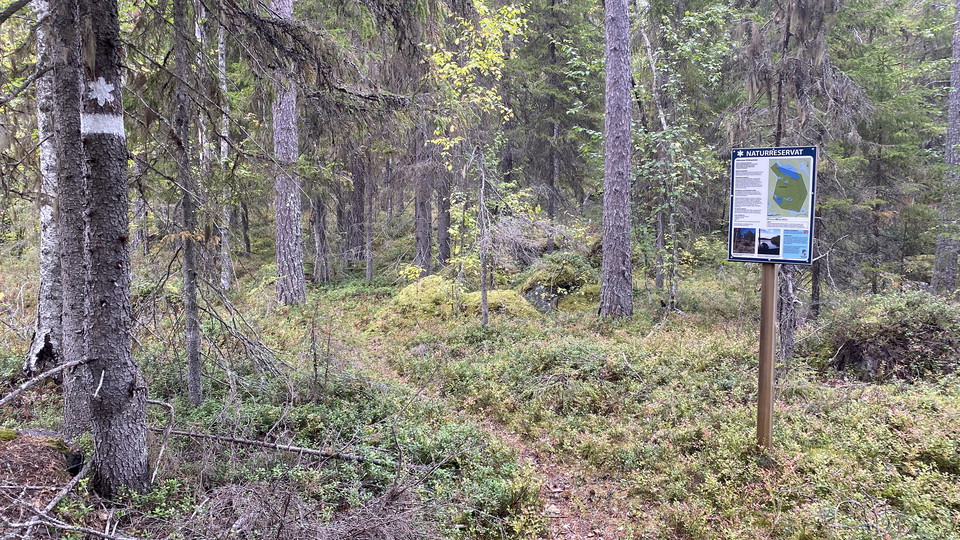 En stig genom en skog och en informationsskylt intill.