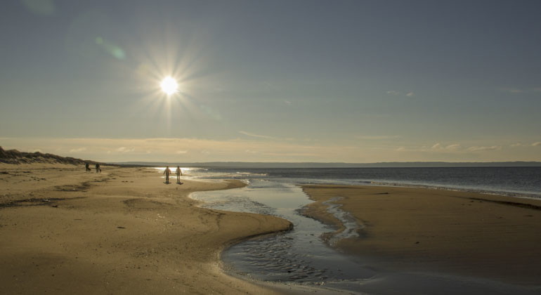 Kvällssol över stranden