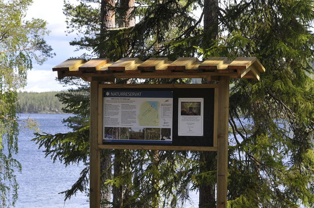 Fjällbergets naturreservat