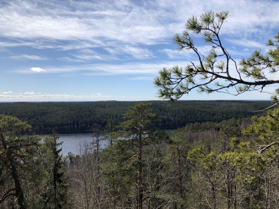 Utsikt från Jakobdalsberget