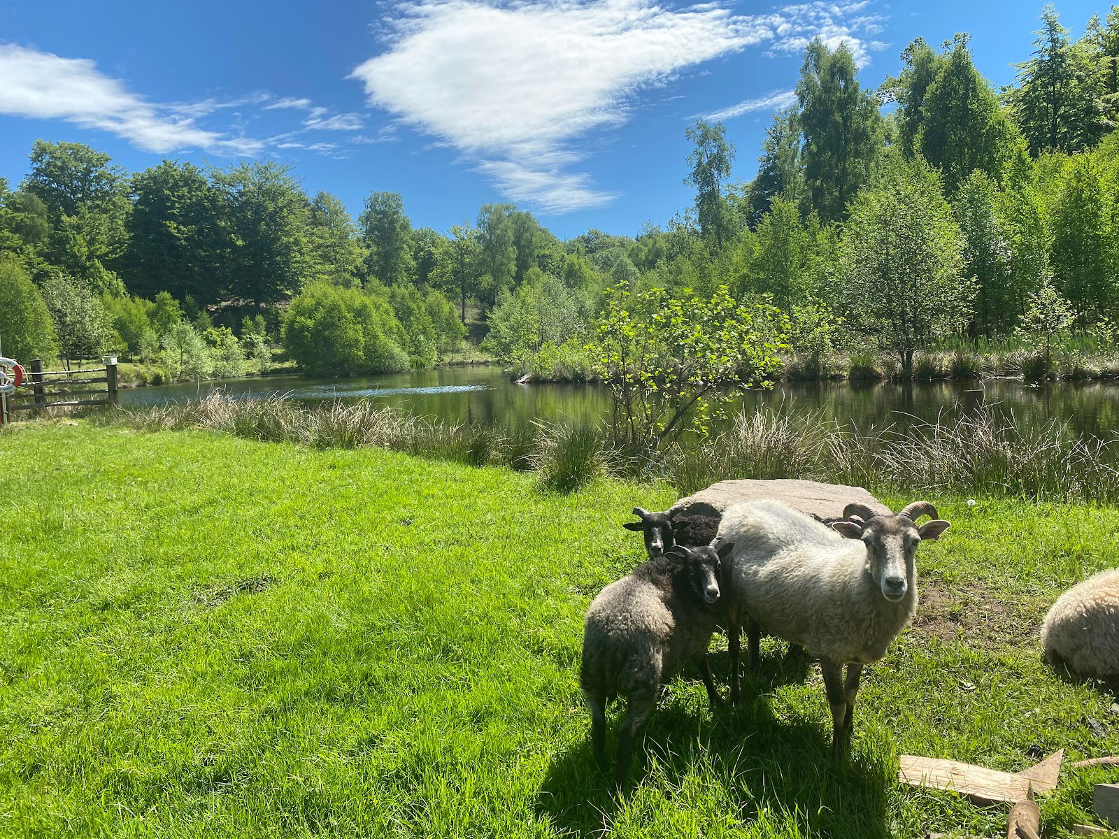 Ullstorps Stugor, Höör