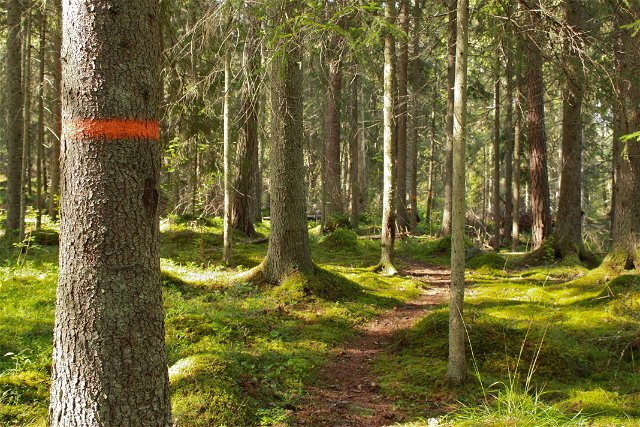 The Uppland Trail, section 6, 15.5 km