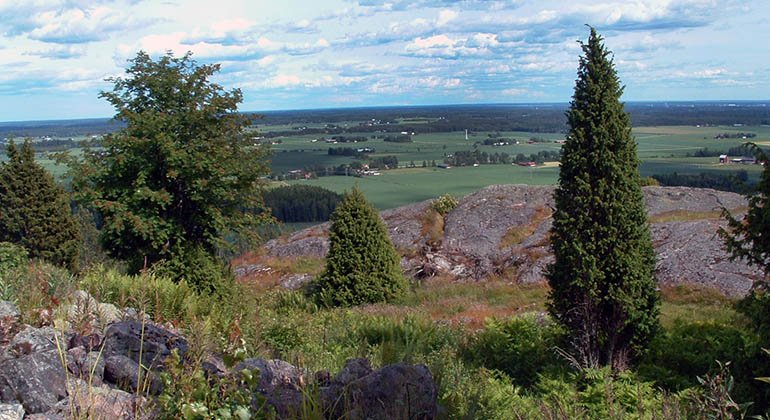 Utsikt från Ullavi klint.