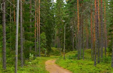 Elljusspår Hållet
