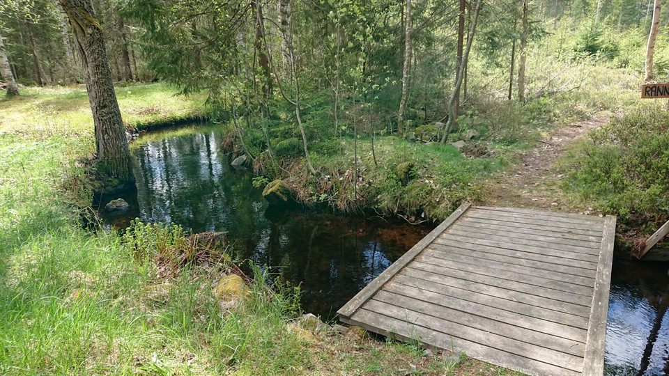 Rännsjöbäcken i Ulvsta.