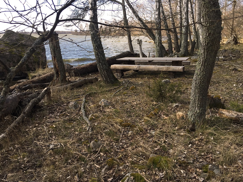 Träbord och träbänkar vid strandkant.