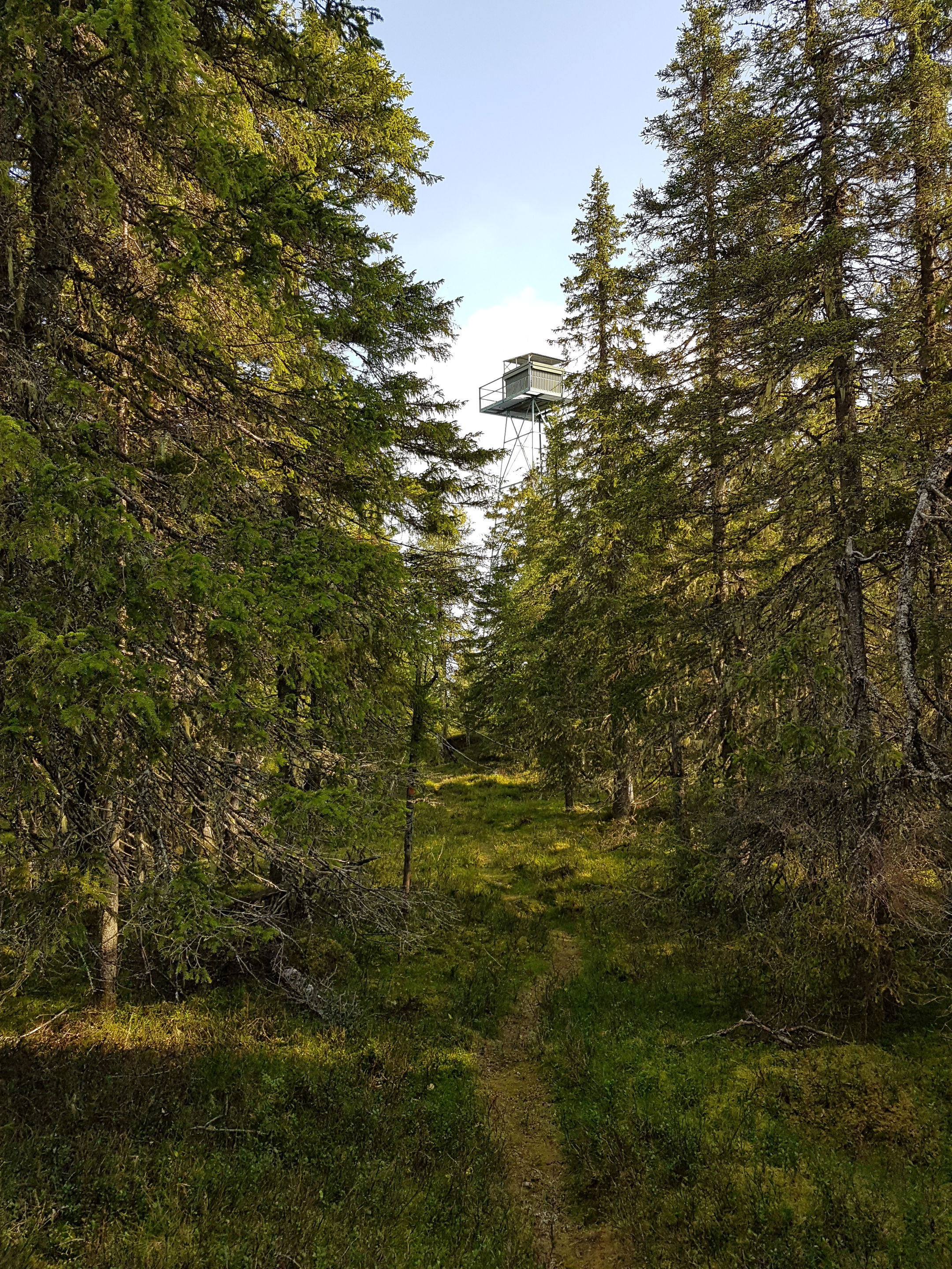 Kalvträsklederna, Vitbergen