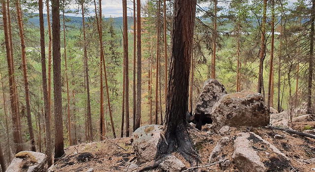 Nötbergets södra , Naturreservat