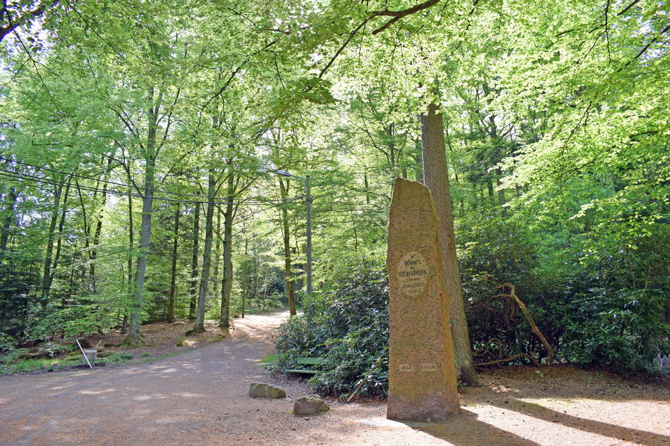 Gula spåret i Kungsbackaskogen