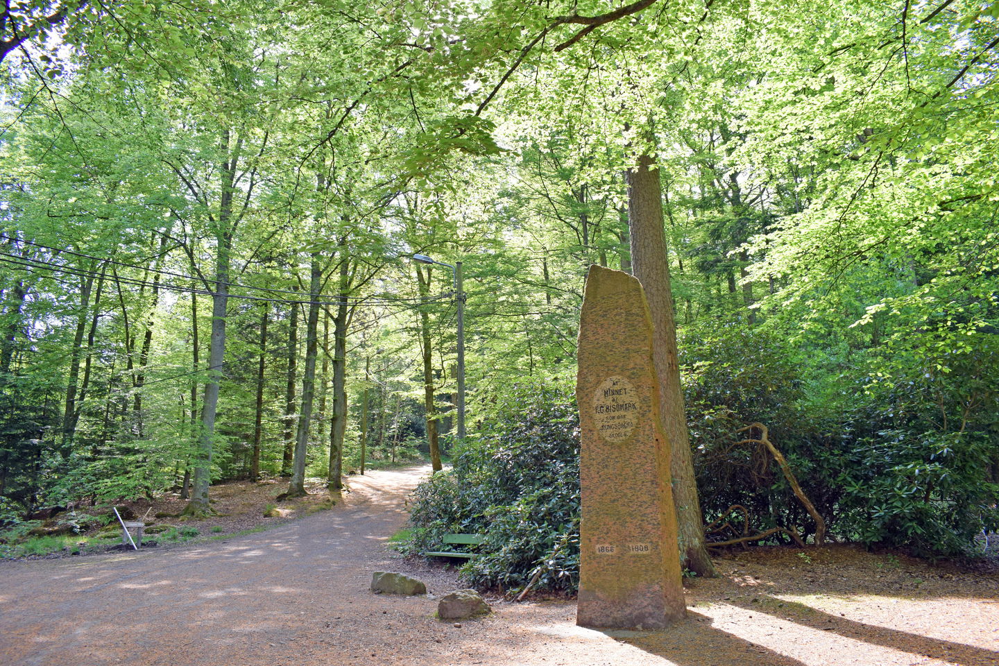 Gula spåret i Kungsbackaskogen