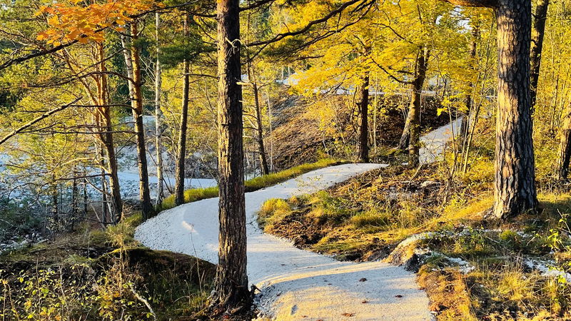 Sala - Strå Flowtrail MTB