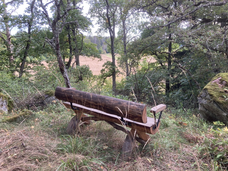 En bänk med ryggstöd och armstöd står vänd ut mot en brant sluttning. I sluttningen står olika lövträd och mellan stammarna syns gulnade fält.