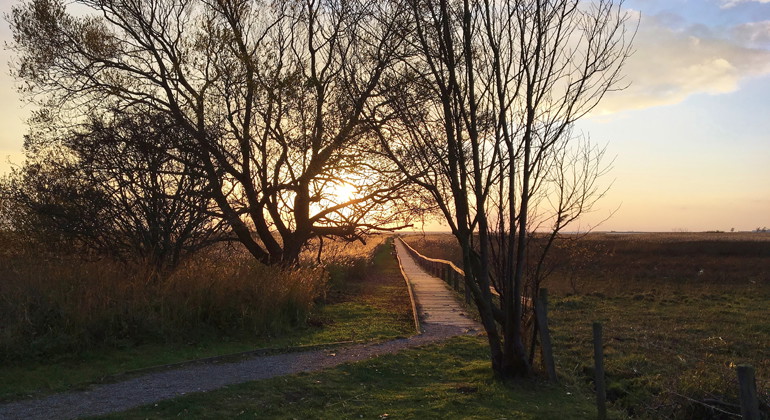 Ramp ut till plattformen vid Löddesnäs.