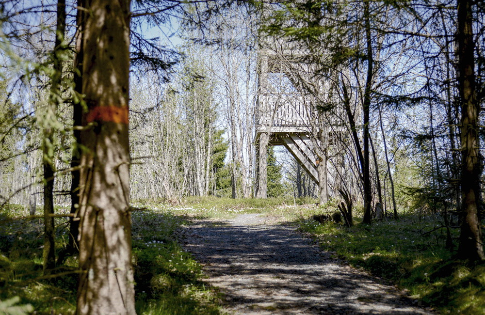 Rastplats Huluberget