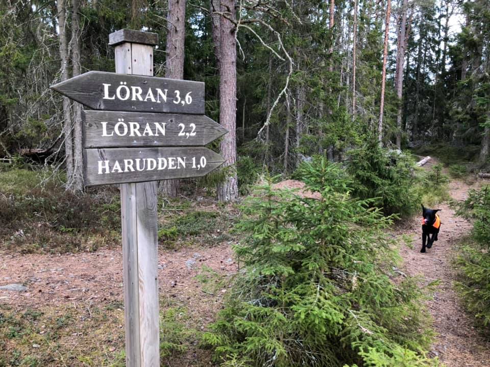 Vandringsstig Lörudden-Telefonviken