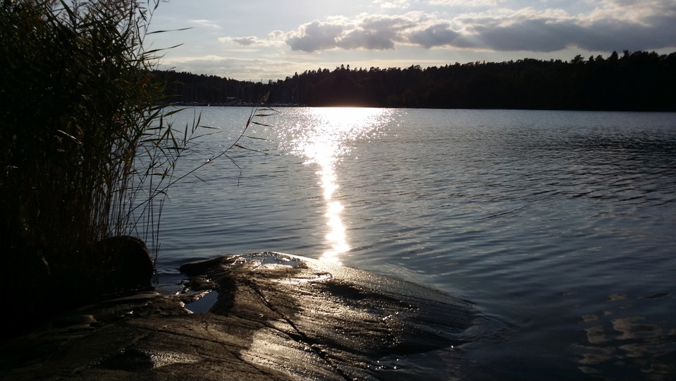 Vy mot Bosön från västra Södergarn. Foto Lidingö stad