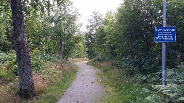 Teleborg Forest illuminated trail