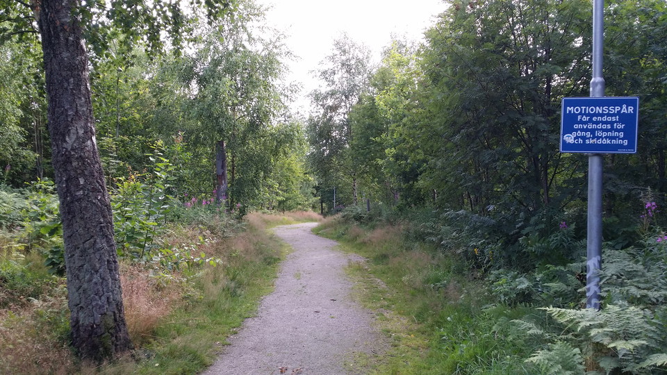 Gång, löpning, skidor