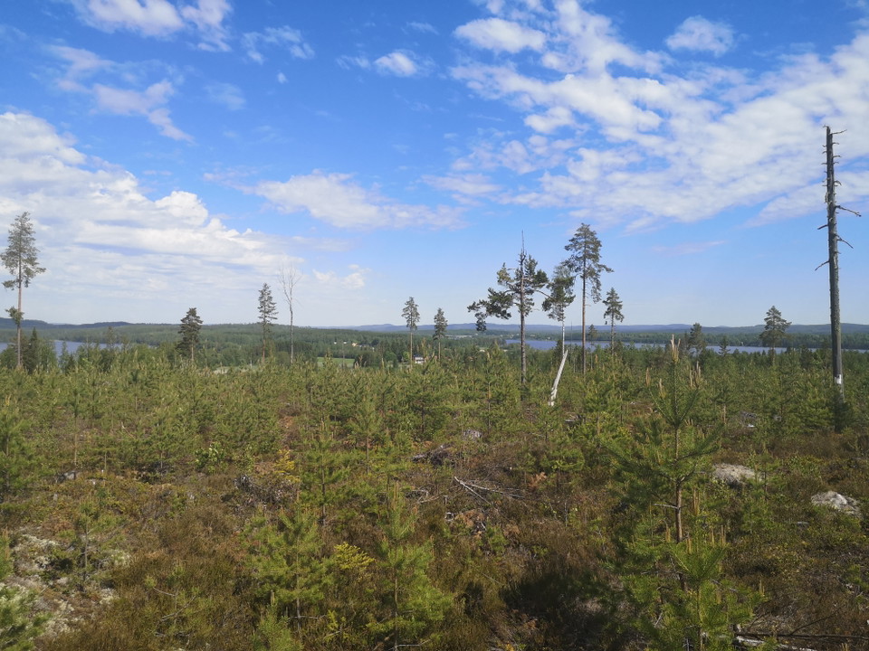 Vy över sjöarna Svetarna