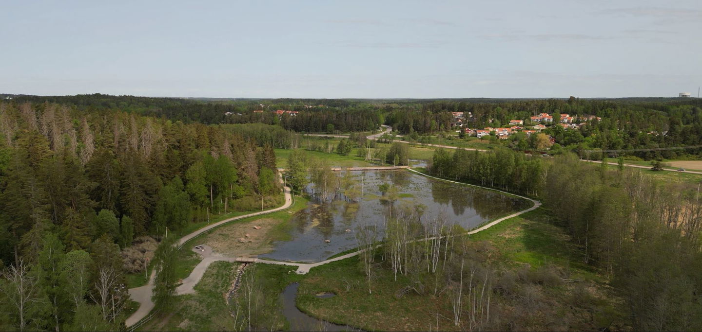 Överblick våtmarken sett från söder