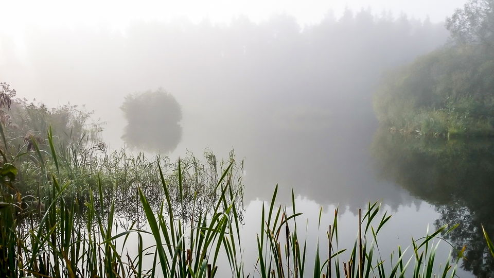 Rudbodakärret. Foto Bo Vading