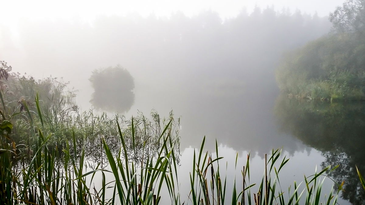 Rudbodakärret. Foto Bo Vading