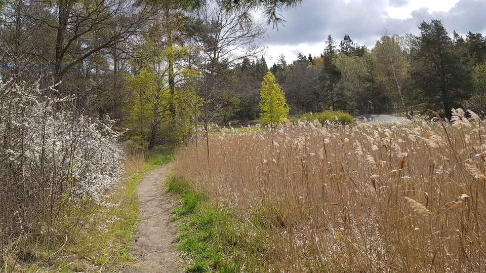 Ridstig vid Västra Långängskärret. Foto Lidingö stad