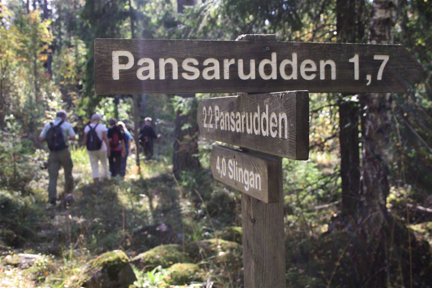 Fem vuxna vandrar genom skogen. I förgrunden står en vägvisade med texten Pansarudden på.