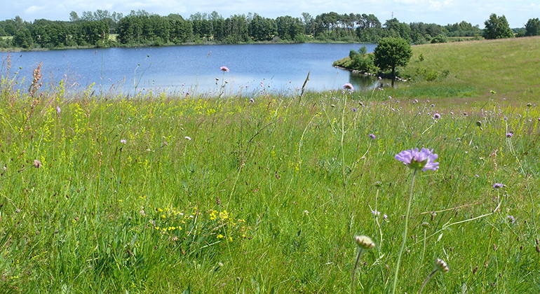 hed och vatten