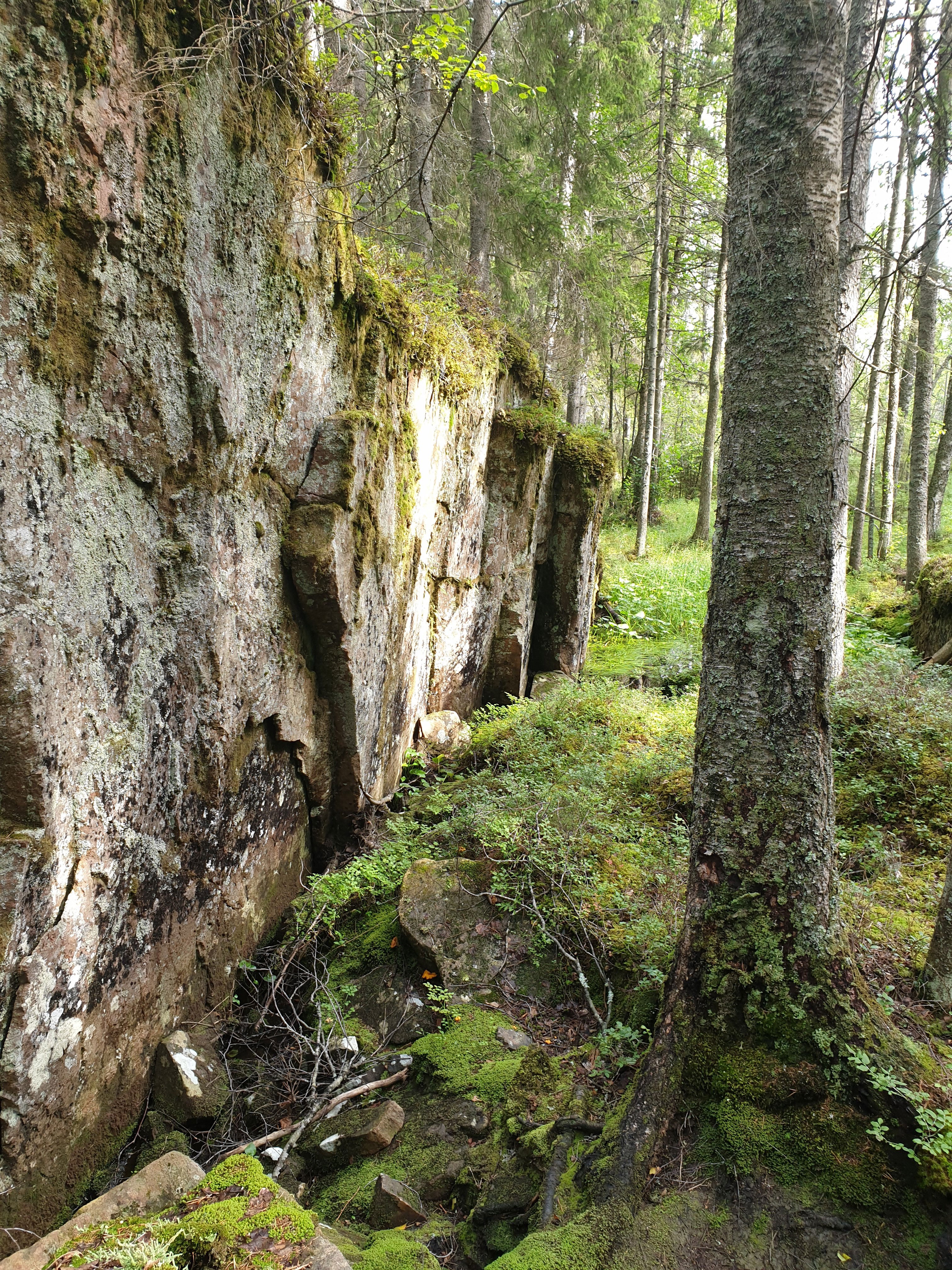 Skinnskatteberg - Ormdalsslingan