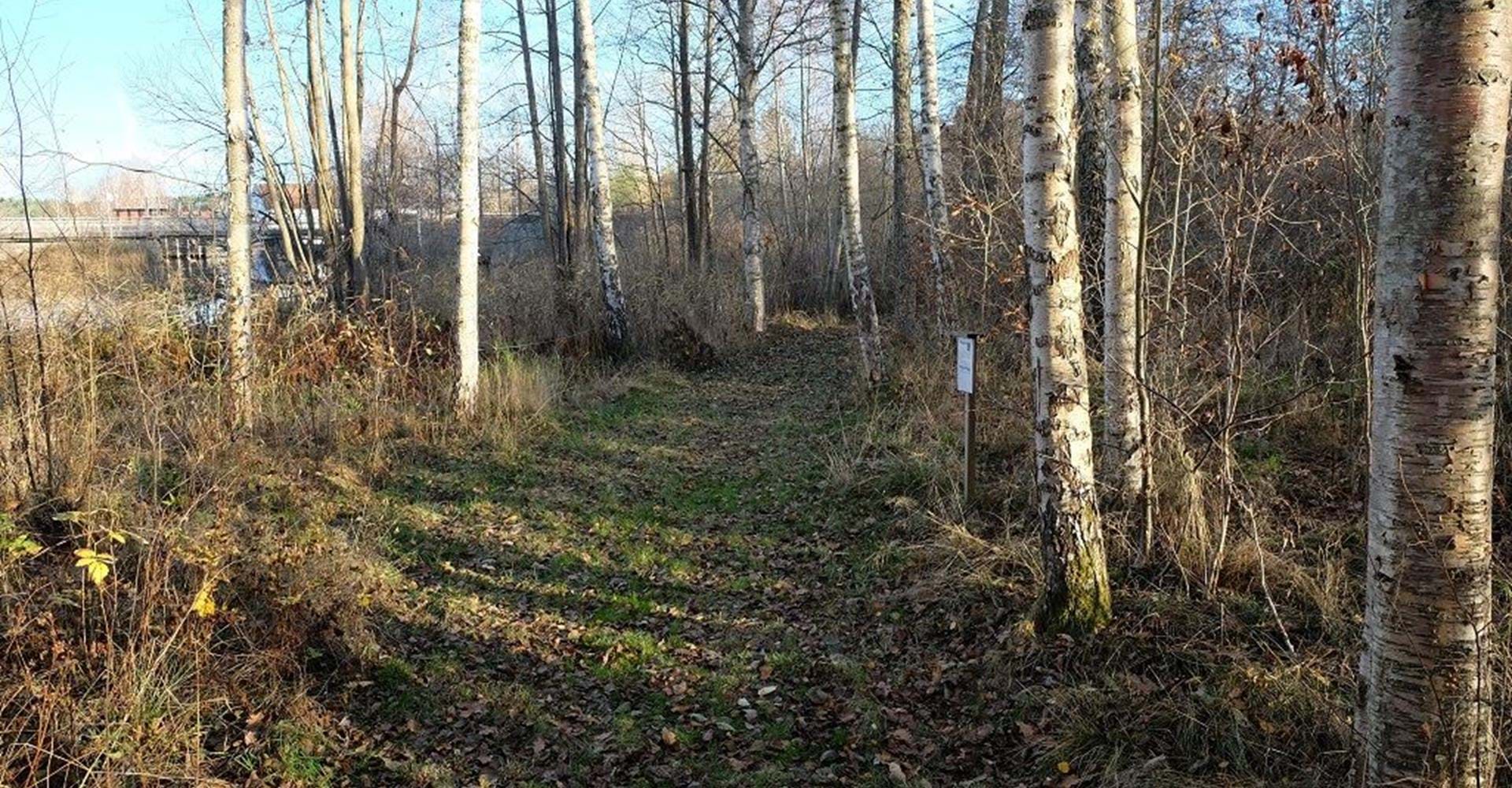 Stig till vindskyddet Flarka i Horna
Etapp: Kisa-Horn och Horn smålandsgränsen
Kinda