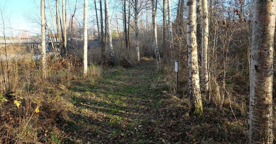Stig till vindskyddet Flarka i Horna
Etapp: Kisa-Horn och Horn smålandsgränsen
Kinda