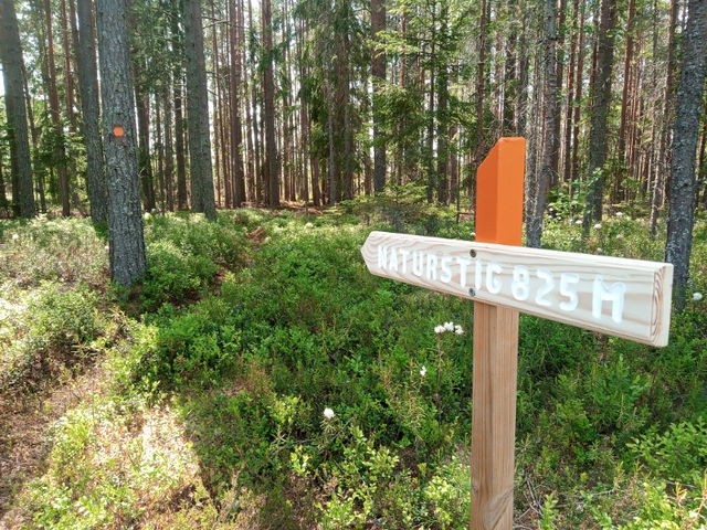 Naturstig Digernäset