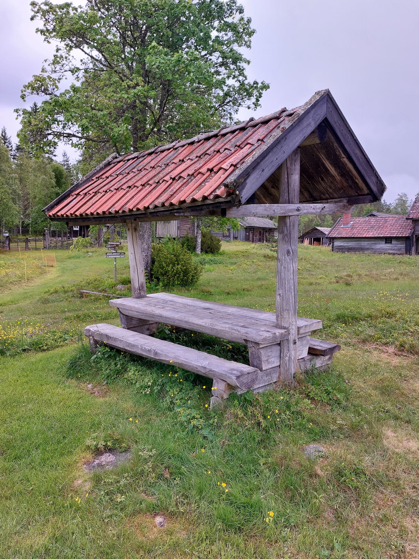 Vid majstången i Skinnaråsen