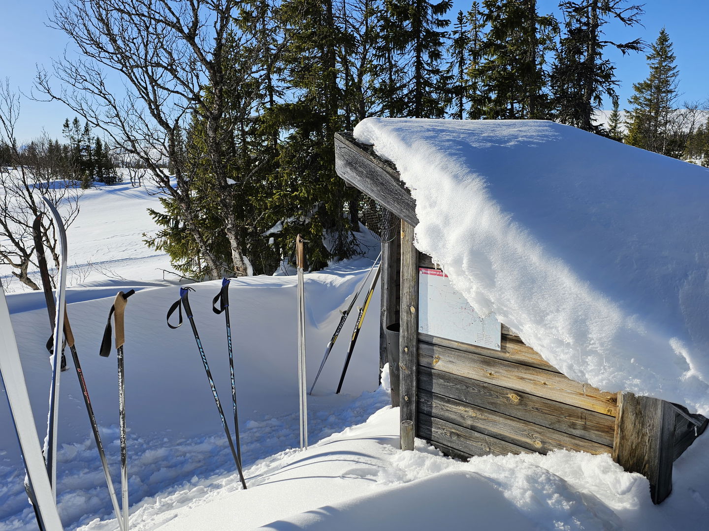 Sidan av ett vindskydd i trä med snö på taket och skidor nedstuckna i snön brevid