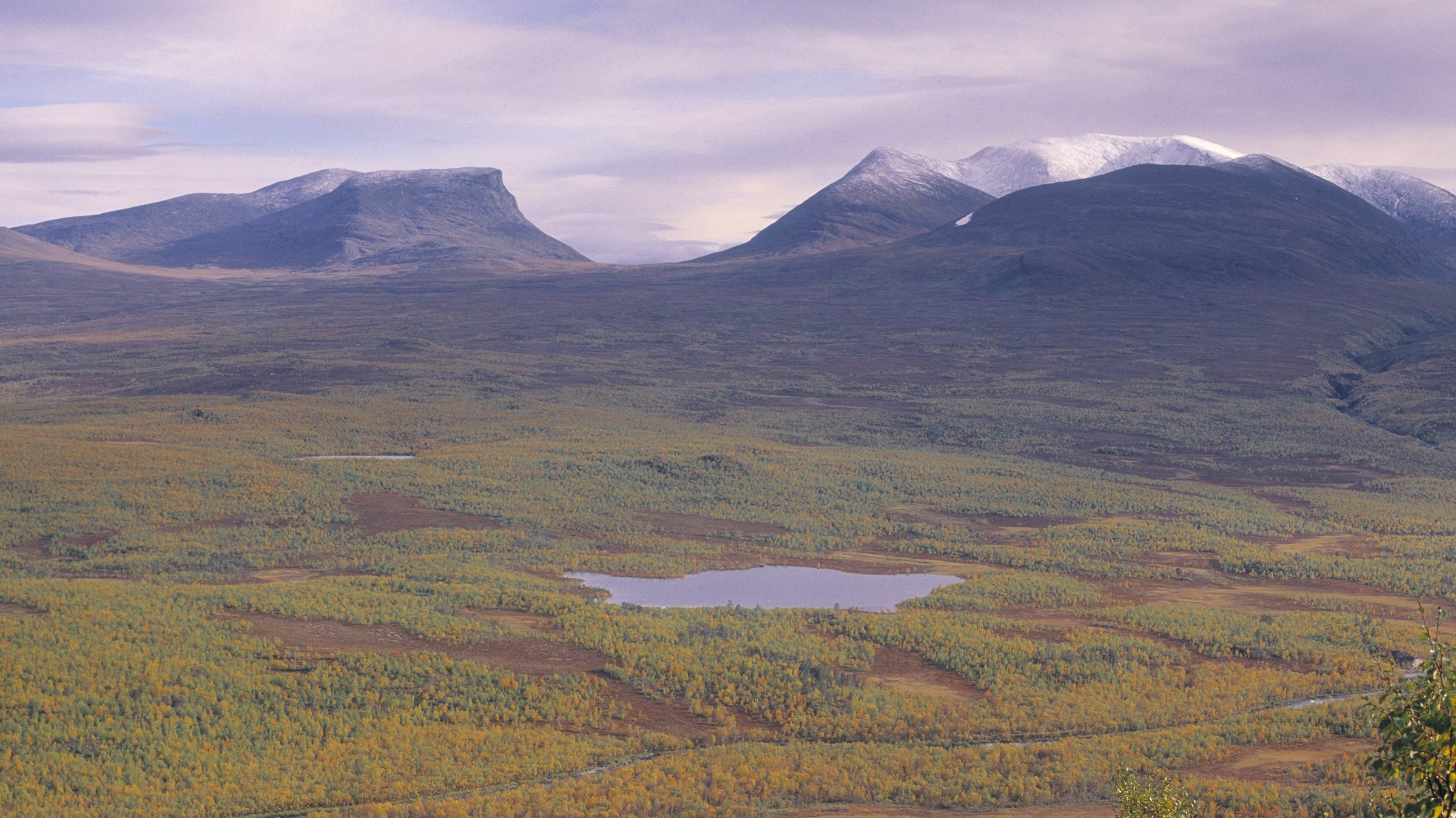 Utsikt över en fjälldal med björkskog, sjöar och fjälltoppar i bakgrunden.