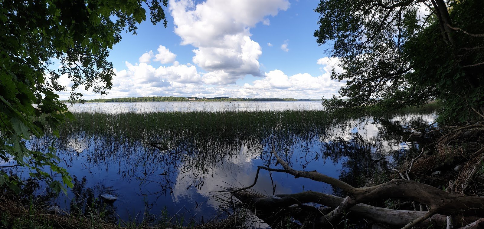 Stig Klintaskogen naturreservat, Höör