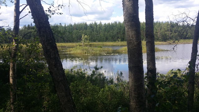 5. Vindskydd vid lilla Hammarsjön
