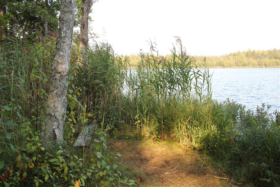 Enkel bänk vid Lilla Agnsjön.