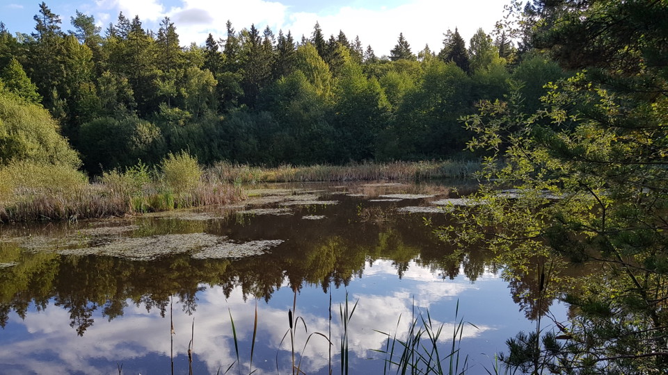 Mulletjärnen sedd från bergknalle i sydväst. Foto Lidingö stad