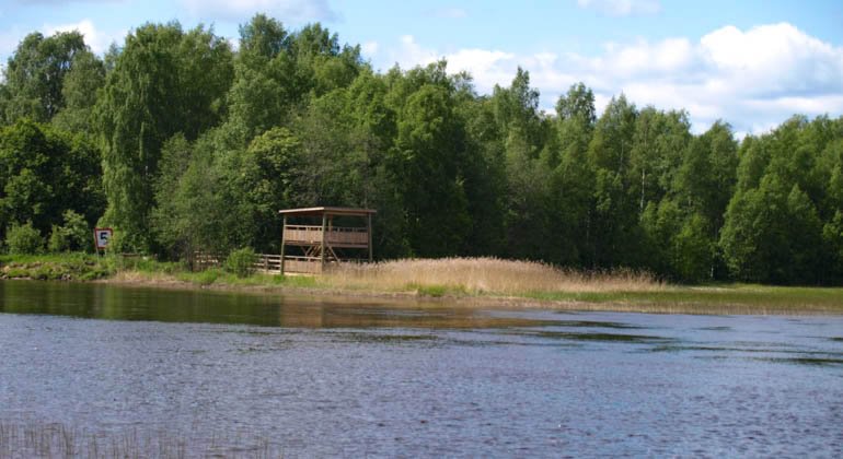 Veckefjärdens naturreservat.