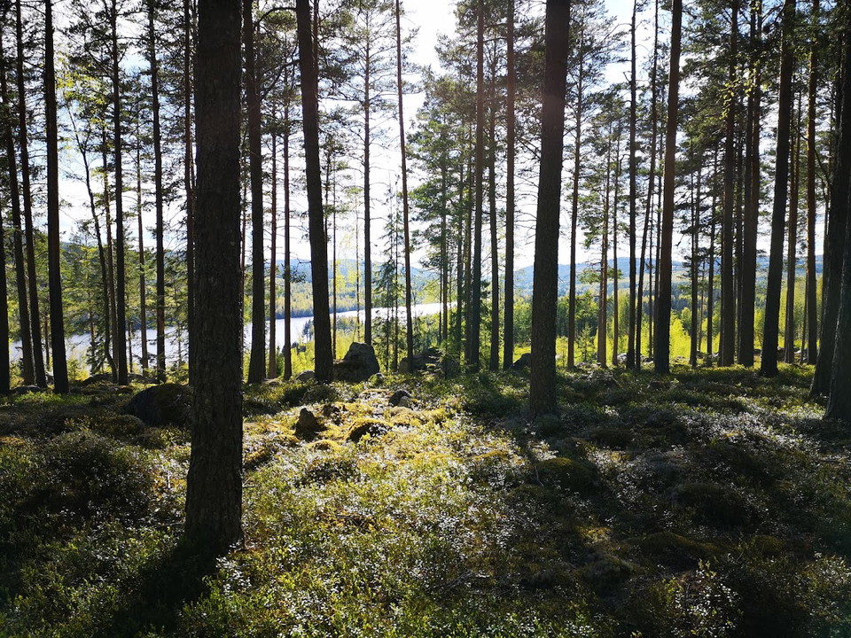 Foto: Åsa Eriksson