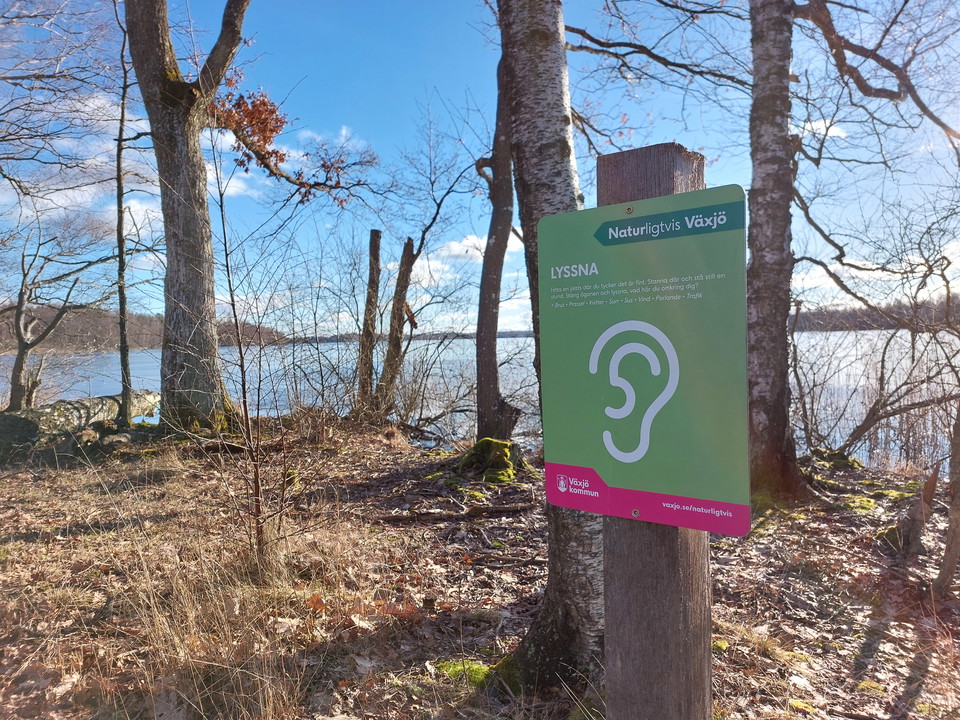 NATURligtvis-runda för barn och unga