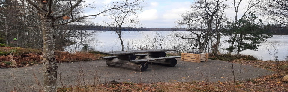 Ny eldstad på höjden 2021